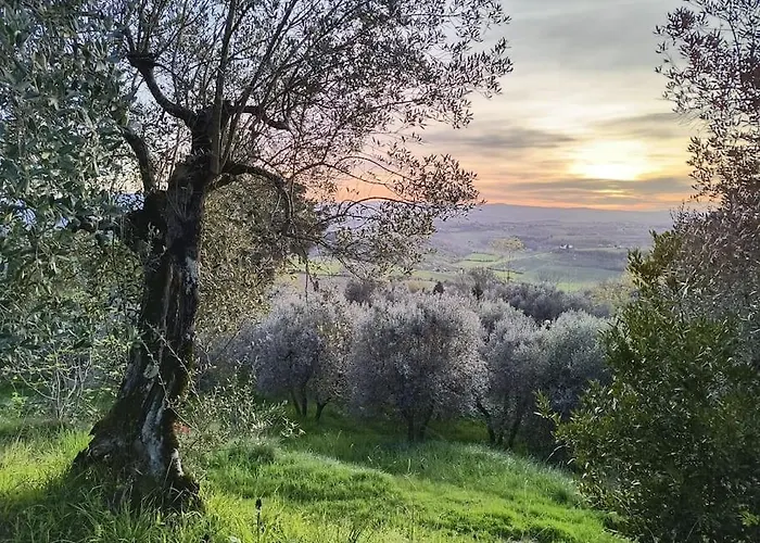 Il Cestino Di Ciliege