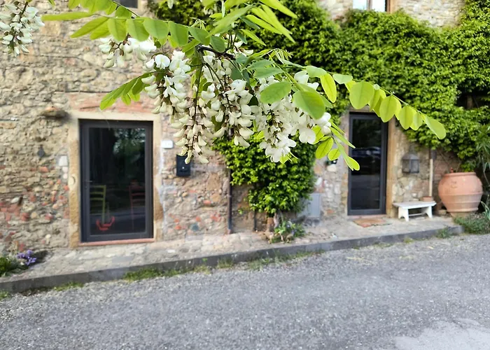 Il Cestino Di Ciliege