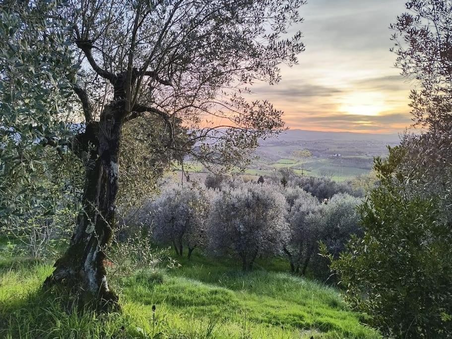 Holiday home Il Cestino Di Ciliege Certaldo