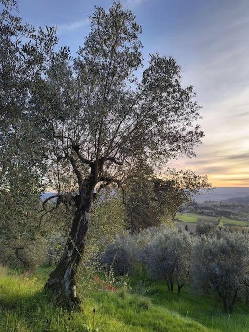 Il Cestino Di Ciliege Holiday home *
