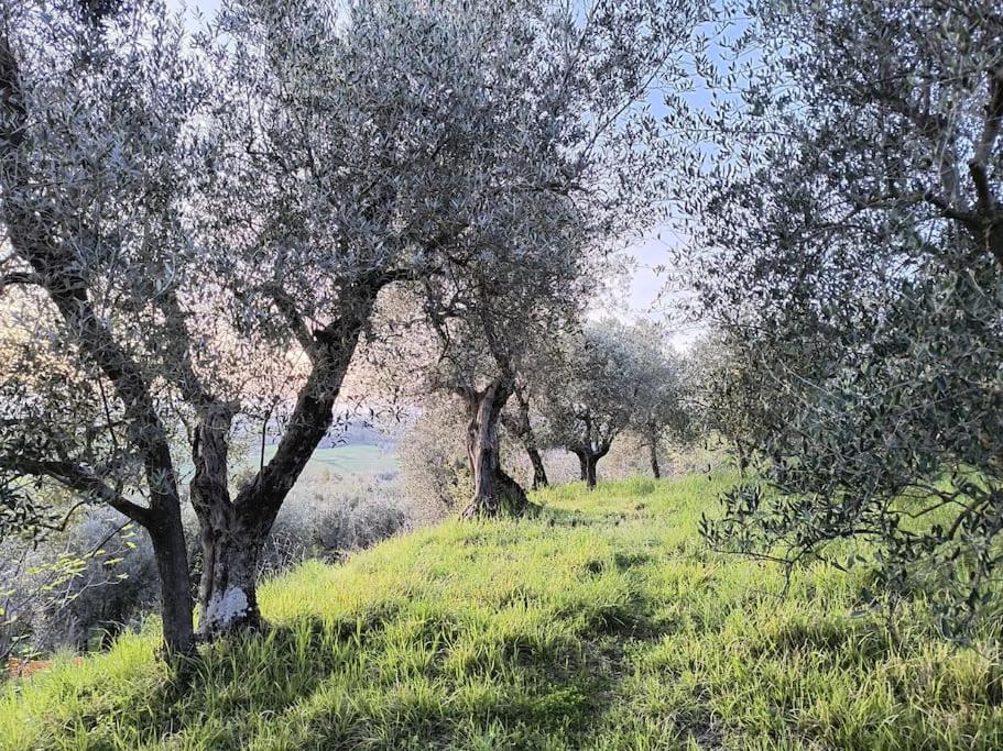 Il Cestino Di Ciliege Holiday home