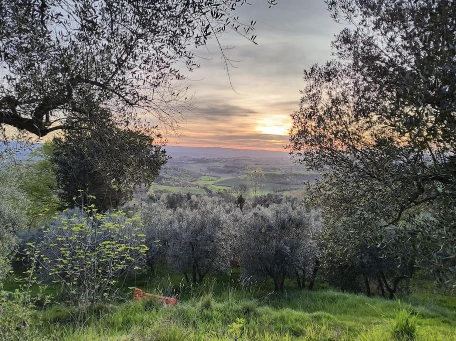 Il Cestino Di Ciliege Holiday home *