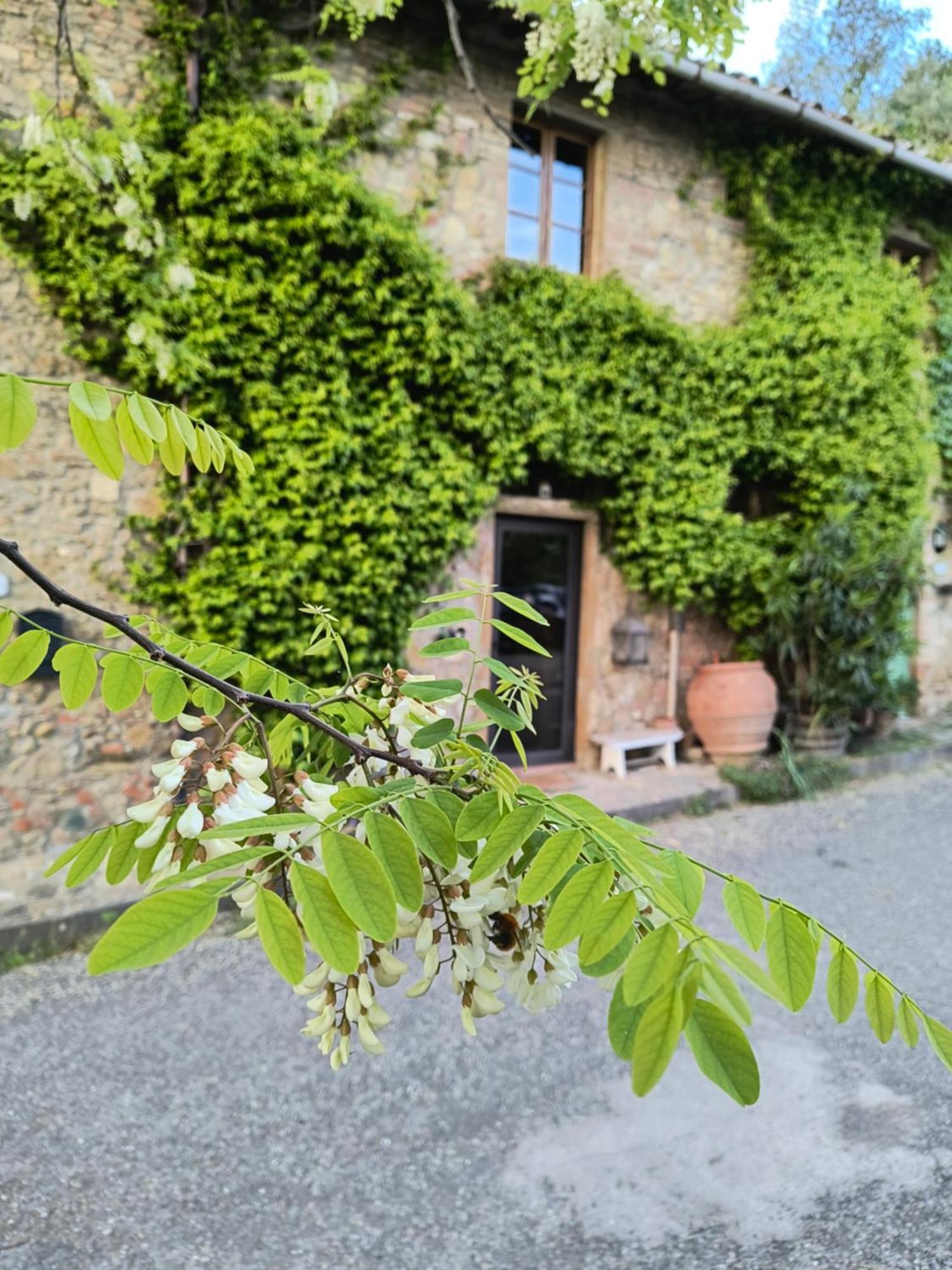 Il Cestino Di Ciliege Certaldo