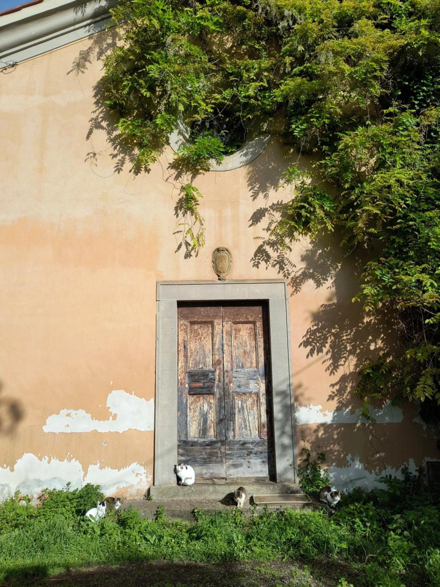 Il Cestino Di Ciliege Certaldo